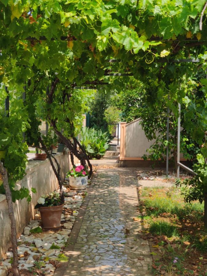 Appartement Medulin: Blue Oasis For A Perfect Vacation *